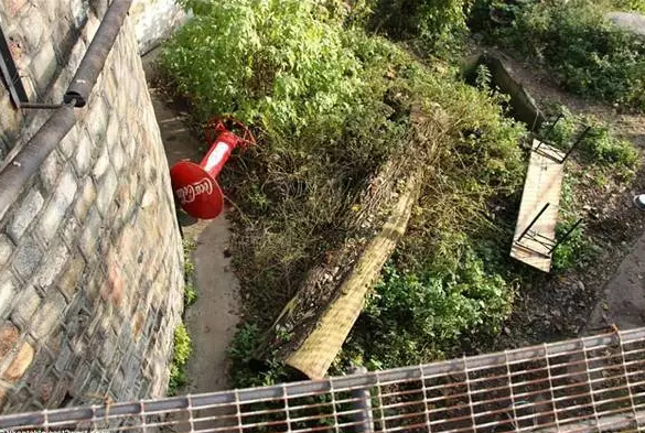 20171107151005741775.png QQ图片20171107202304.png